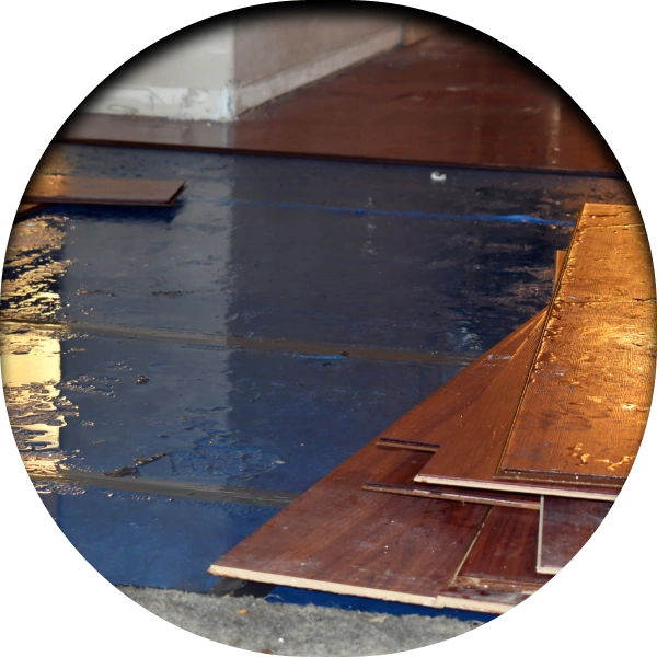 Icon ChampionsTeamFloorServices WaterDamage Sachse,TX